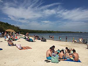 Key Largo beach -- this was the warmest day we had in the Keys. Unfortunately, we didn't get to hang out at the beach here and swim. We were only halfway to our condo, we only stopped here for a quick lunch. 