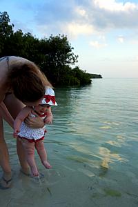 Capri in the ocean for her first time. She wasn't too thrilled, it was a bit cool.