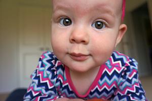 Capri close-up.