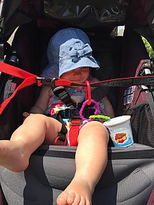 Just chilling in my stroller.