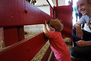 Checking out the goats