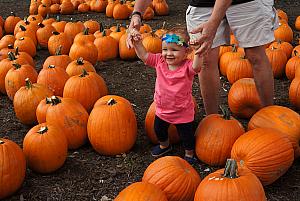 Walking through the pumpkin patch