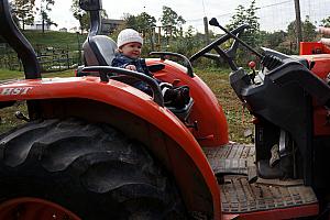 At Gorman Farm - Capri is driving the tractor!