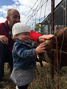 Petting a goat