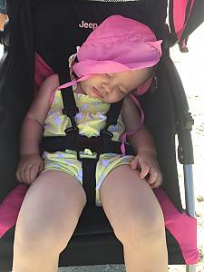 Capri conked out during a walk with Grammy and Grandpa Klocke