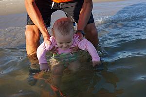 Grandpa taking Capri into the ocean