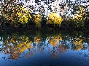 Little Miami River from the South 80 Trail. 