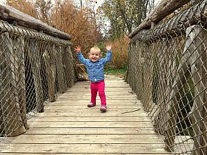 Capri having fun on a bridge!