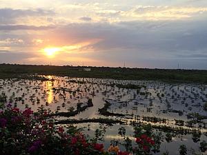 Sunrise looking at the marshland, this was the view looking land-side from our condo complex. Not too shabby!