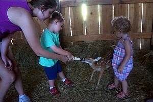 Aunt Julie and Cooper taking at turn to feed the deer