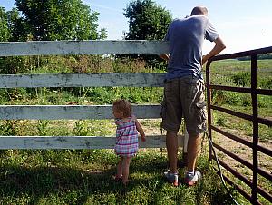 Closing the gate to the pasture