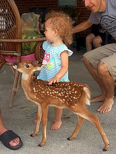 Because it was so hot, the owners picked up the deer and brought it back to their property for closer attention. But we got to say goodbye first!