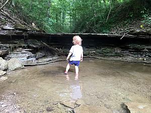 Creeking in the woods behind Stephan Field