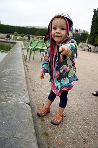 Capri playing near a pond