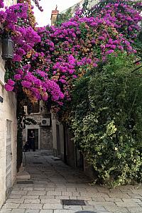 September 7: exploring the neighborhood where we lived.