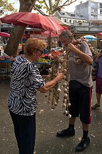 Fresh garlic for sale