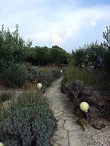 Walking down to the sea