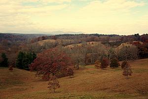 View from the back of Biltmore -- amazing.