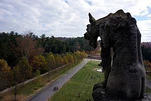 View from Biltmore's roof