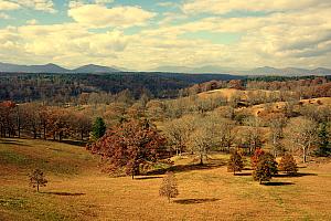 View from Biltmore's roof