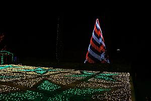 North Carolina Arboretum Winter Lights