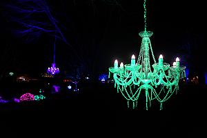 North Carolina Arboretum Winter Lights