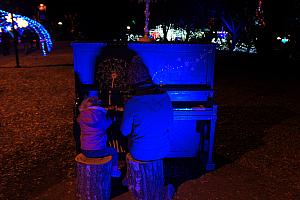 North Carolina Arboretum Winter Lights - playing some Metallica!