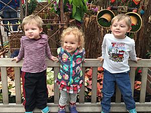 Benny, Capri and Cooper again - visiting the train displays at Krohn Conservatory.