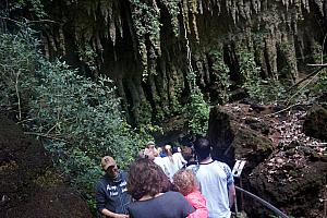 Wednesday, March 8: entering Camuy Cave