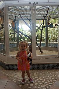 Back at our hotel, posing with the  parrots!