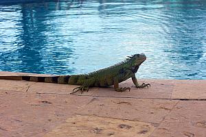 He kindly posed for photographs.