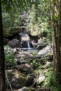 The entire hike took us along the stream/river the led to the falls - it was very pretty the whole way!