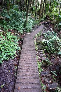 Example of the hiking trail - it was concrete or rocks the whole way. They did a good job of having the trail blend in with the nature.