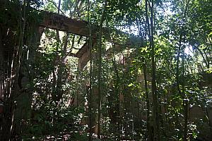 Sugar mill ruins