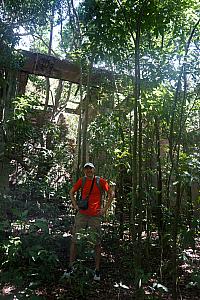 Sugar mill ruins - esteemed explorer.