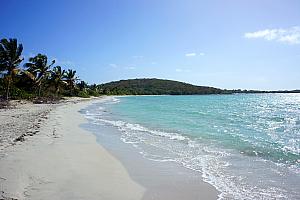 View of the beach