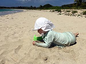 Digging in the sand.