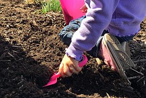 Capri helping dad pull weeds in the mulch beds