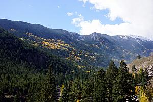 Look at all the yellow aspen trees. We learned that each cluster of trees is connected to a single root system, which is why they grow in thick patches.