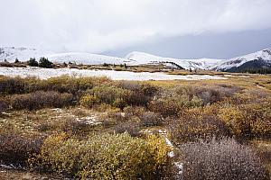 Guanella Pass