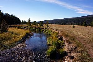 Hiking in the Coyote Valley meadow trail. 