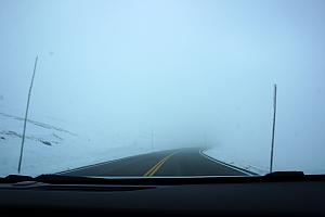 And, just went we made it to the higher elevation area of Trail Ridge Road (8 miles above 11,000 feet), we were enveloped in fog. We were in fog for the entire 8 miles. Made for some treacherous driving :)