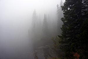 We stopped at Bear Lake, which is known for great mountain vistas. And, we could see about 10 feet in front of us :)