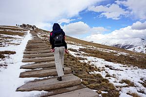 At the Alpine visitor's Center, here's a 0.25 mile climb up a hill and a few hundred steps to a summit. You know I wanted to do it! Never mind the sub freezing temperature and STRONG winds!