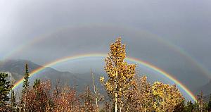 While driving back down from the highest elevation, we drove through snow and fog, then rain, and then stumbled upon this awesome rainbow!