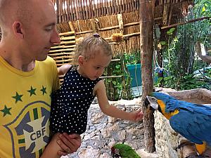 Capri feeding the toucan.