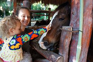 Ranch tour - visiting the farm animals on the property.