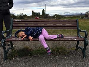 Next stop: to see a Geysir in  Arnessysla, Iceland. Capri decided she wasn't interested in seeing the geyser, and wanted to instead nap here, ha.