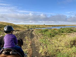 Capri says horseback riding was her favorite things we did in Iceland. Icelandic horses are a bit smaller than typical horses and very friendly. Capri would yell, "Look, kid horses!" whenever we would pass horses on our road trips.